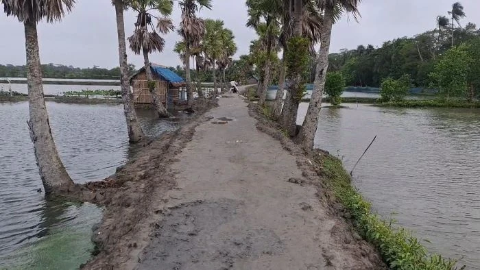 মোরেলগঞ্জের জিউধরা ইউনিয়নে দেড় কিলোমিটার সড়ক নির্মাণে বদলে গেছে জনজীবন